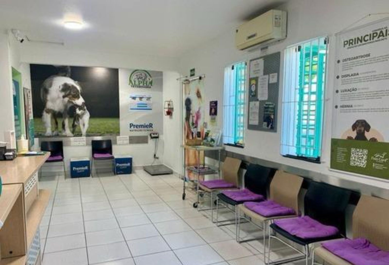 WhatsApp Image 2025-08-11 at 12.06.51 (2)